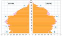 Pyramide des ages du bodyboarder