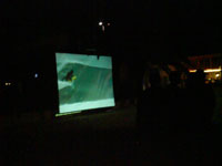 projection bodyboard