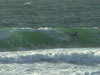 Photographe : Bodyboard Land - Rider : - Spot : Quiberon - Dfi bodyboard Fr / UK 1