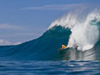 Photographe : Collins - Rider : Spencer Skipper - Spot : Pipeline