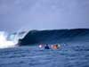 Human Mentawai Challenge. from Mark Fordham