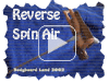 Cliquez pour visualiser un reverse spin air en bodyboard