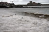 vague saint jean de luz bodyboard le port