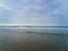 spot crevettes - cote sauvage Quiberon