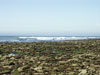 Pointe de chassiron - spot Oleron