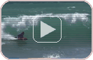 bodyboard Clip - Cliquez ici!